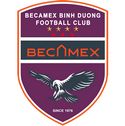 빈즈엉 FC