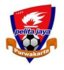 Pelita Jaya